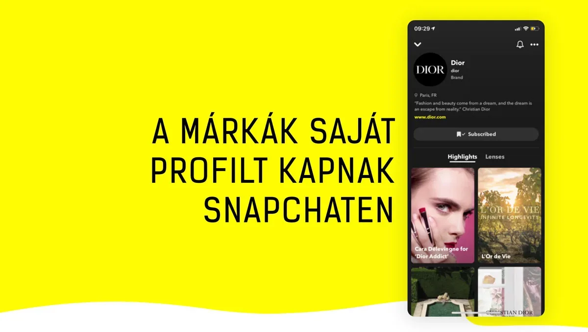 márka profil
